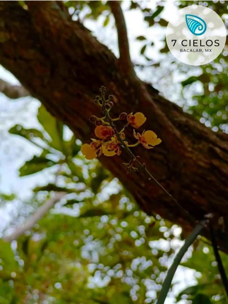 7 Cielos Bacalar. Exterior foto